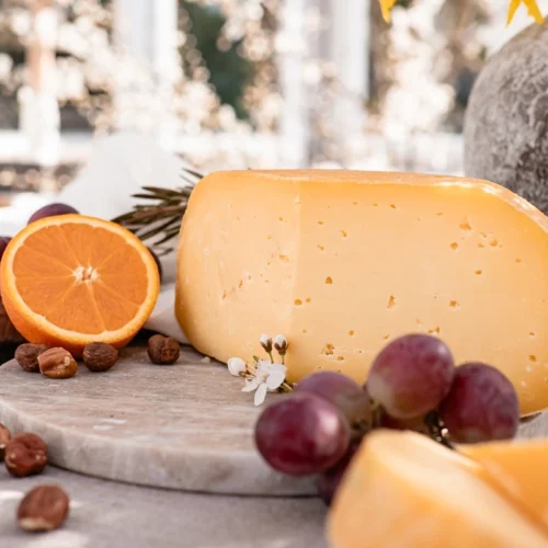Gouda krowa